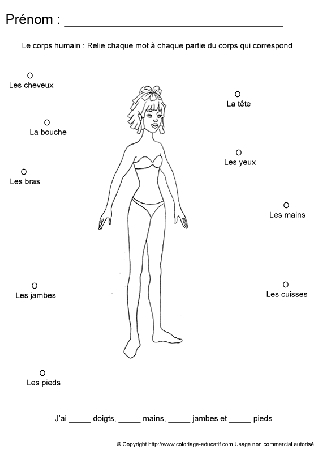 apprendrecorpshumain20.gif