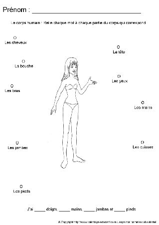 apprendrecorpshumain21.gif
