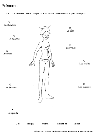 apprendrecorpshumain22.gif