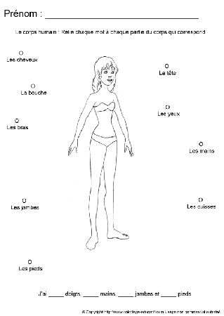 apprendrecorpshumain24.gif