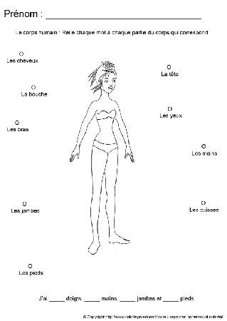 apprendrecorpshumain25.gif