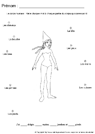 apprendrecorpshumain27.gif
