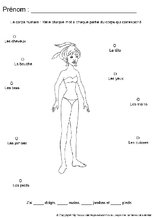 apprendrecorpshumain29.gif