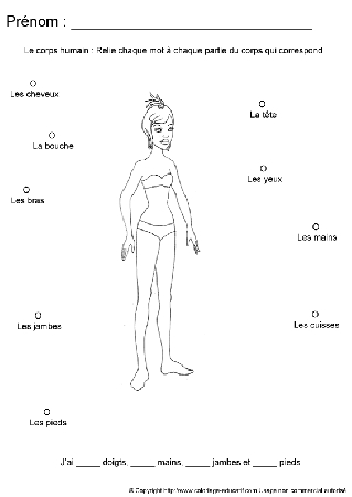 apprendrecorpshumain30.gif