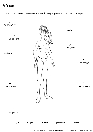 apprendrecorpshumain31.gif