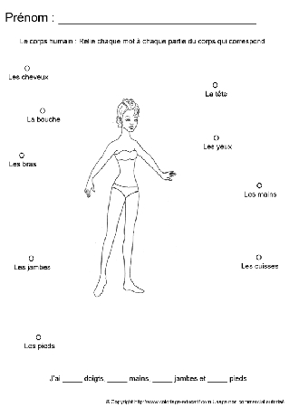 apprendrecorpshumain32.gif