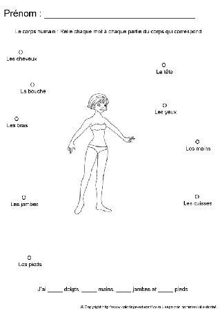 apprendrecorpshumain33.gif