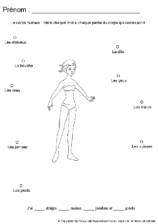 apprendrecorpshumain35.gif