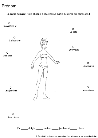 apprendrecorpshumain37.gif