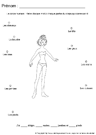 apprendrecorpshumain38.gif