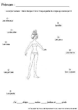 apprendrecorpshumain39.gif