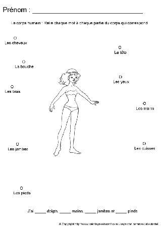 apprendrecorpshumain41.gif