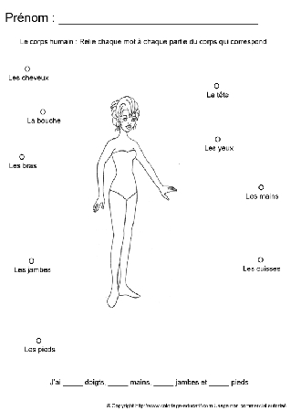 apprendrecorpshumain43.gif