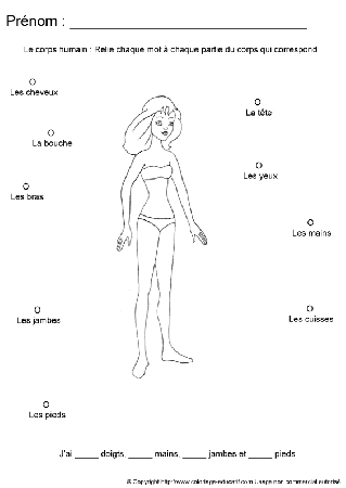 apprendrecorpshumain45.gif