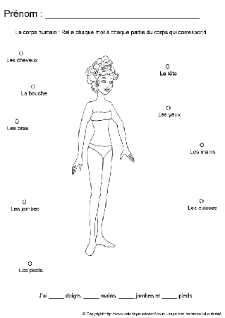 apprendrecorpshumain46.gif