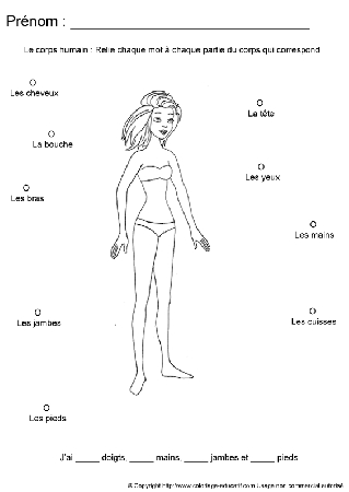 apprendrecorpshumain50.gif