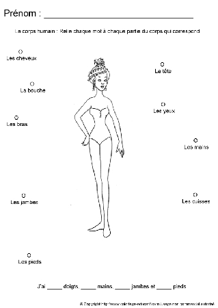 apprendrecorpshumain55.gif