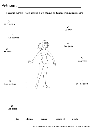 apprendrecorpshumain65.gif