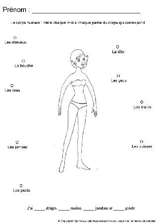 apprendrecorpshumain66.gif