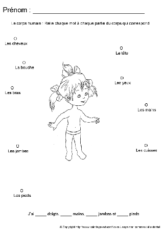 apprendrecorpshumain67.gif