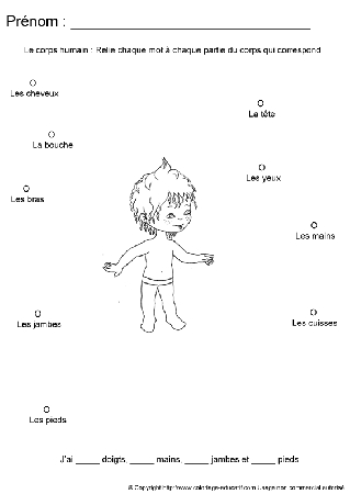 apprendrecorpshumain70.gif