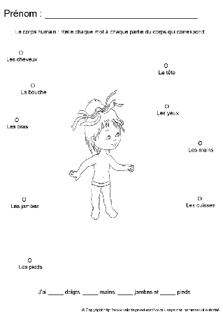 apprendrecorpshumain71.gif