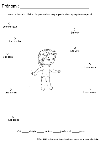 apprendrecorpshumain72.gif