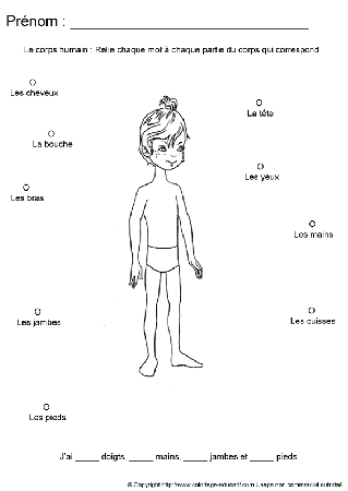 apprendrecorpshumain73.gif