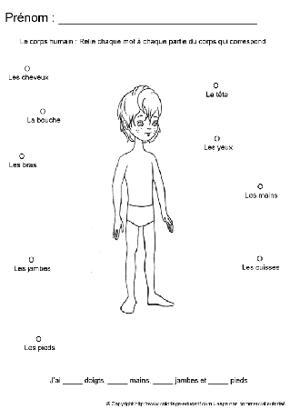 apprendrecorpshumain75.gif