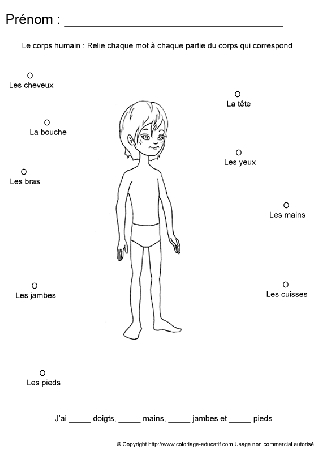 apprendrecorpshumain77.gif