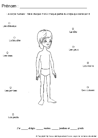 apprendrecorpshumain79.gif