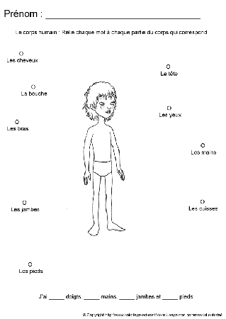 apprendrecorpshumain80.gif
