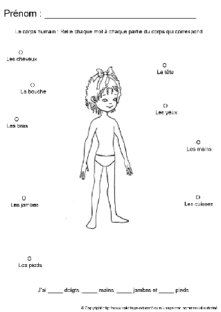 apprendrecorpshumain81.gif