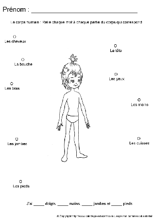 apprendrecorpshumain82.gif
