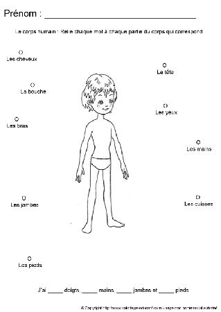 apprendrecorpshumain83.gif