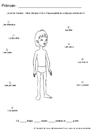 apprendrecorpshumain85.gif