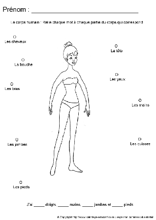 apprendrecorpshumain90.gif