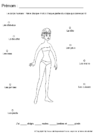 apprendrecorpshumain92.gif