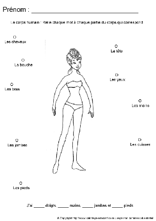 apprendrecorpshumain95.gif