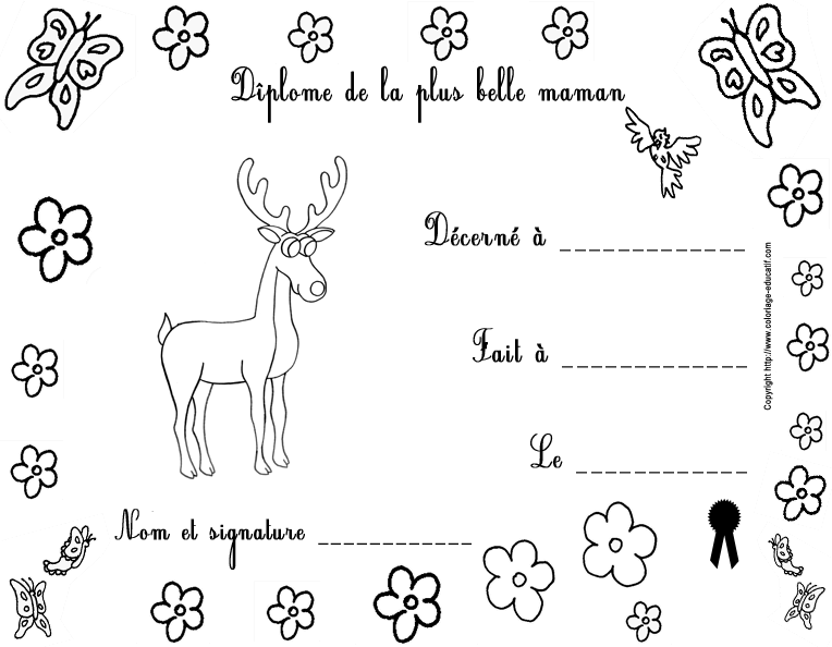 diplomefetedesmeres94.gif