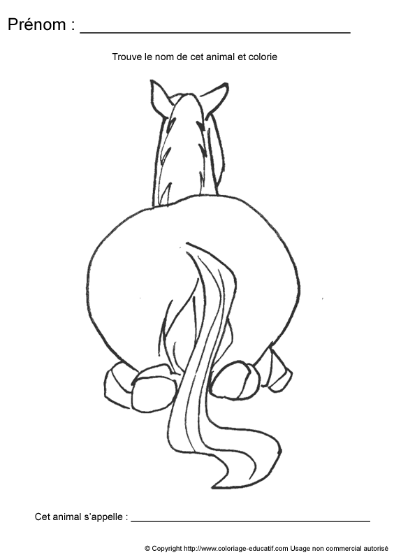 ecriture-nom-animal233.gif