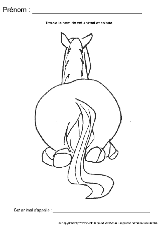 ecriture-nom-animal233.gif