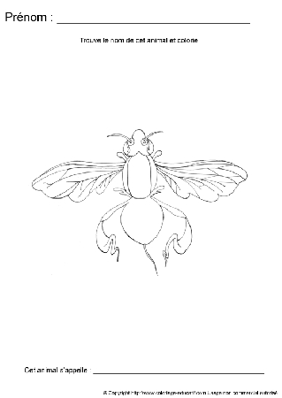 ecriture-nom-animal257.gif