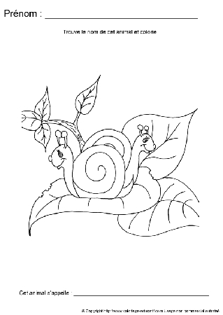 ecriture-nom-animal39.gif