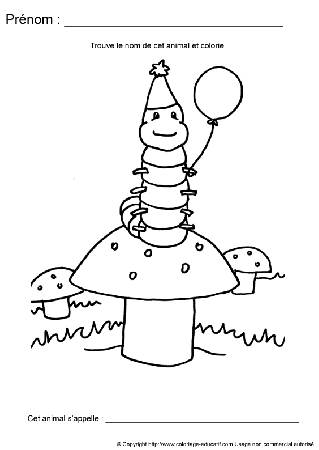 ecriture-nom-animal49.gif