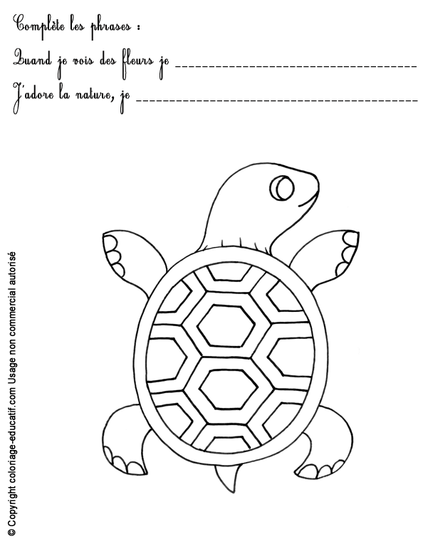 exercice-nature-fleurs34.gif