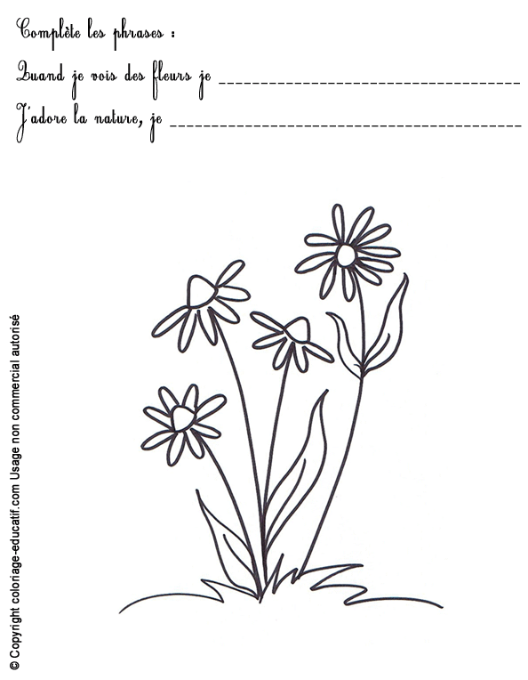 exercice-nature-fleurs50.gif