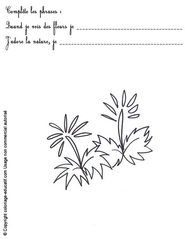 exercice-nature-fleurs51.gif