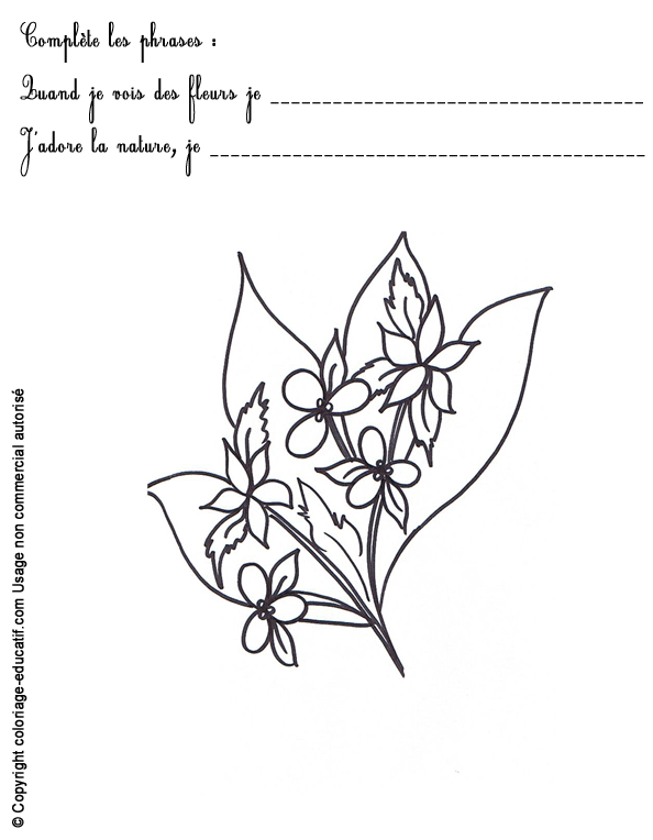 exercice-nature-fleurs52.gif
