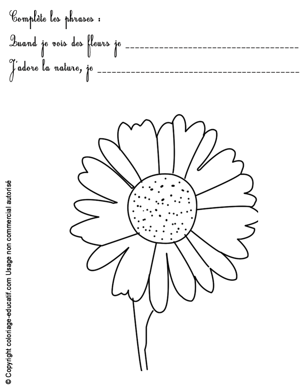 exercice-nature-fleurs56.gif